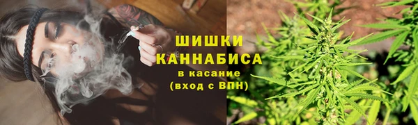 ПСИЛОЦИБИНОВЫЕ ГРИБЫ Заволжье