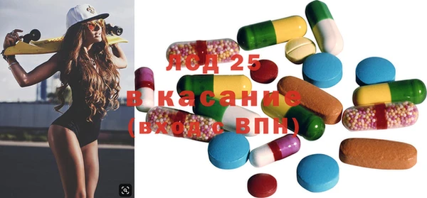 ПСИЛОЦИБИНОВЫЕ ГРИБЫ Заволжье