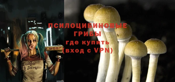 ПСИЛОЦИБИНОВЫЕ ГРИБЫ Заволжье