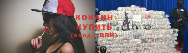 не бодяженный Заводоуковск
