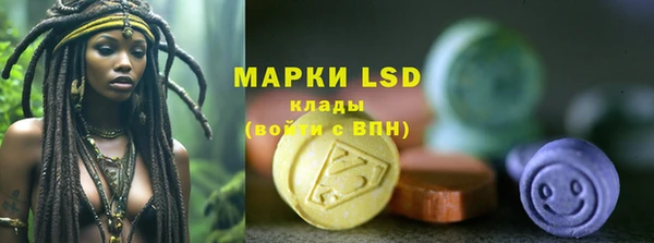 ПСИЛОЦИБИНОВЫЕ ГРИБЫ Заволжье