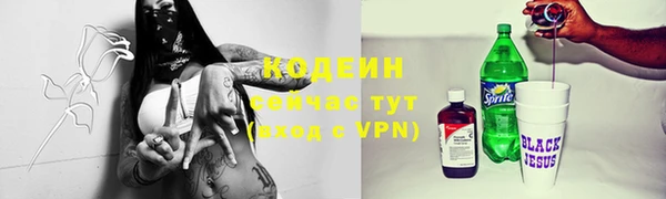 не бодяженный Заводоуковск