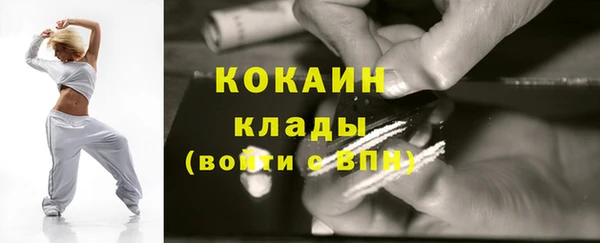 ПСИЛОЦИБИНОВЫЕ ГРИБЫ Заволжье