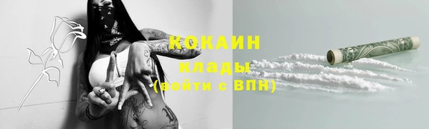 ПСИЛОЦИБИНОВЫЕ ГРИБЫ Заволжье
