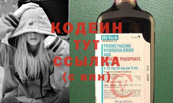 не бодяженный Заводоуковск