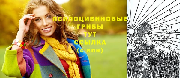 не бодяженный Заводоуковск