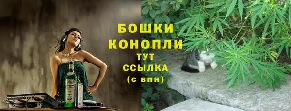 ПСИЛОЦИБИНОВЫЕ ГРИБЫ Заволжье