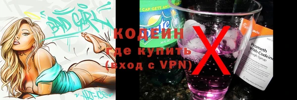 ПСИЛОЦИБИНОВЫЕ ГРИБЫ Заволжье